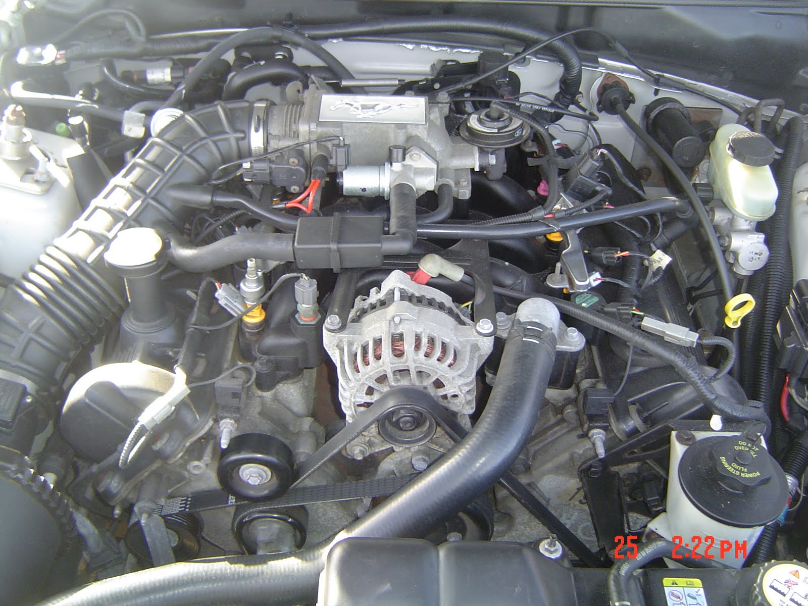 [DSC01659.JPG]