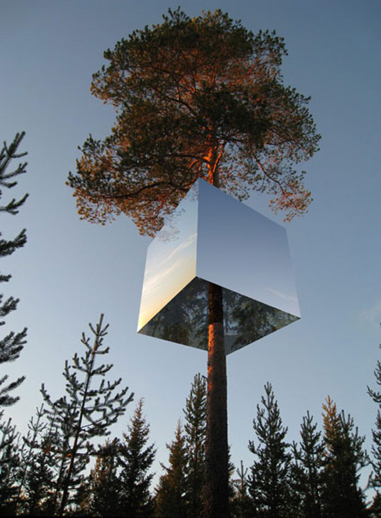[tree1.jpg]