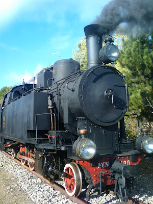 coal train Mandas 20 novembre 2010