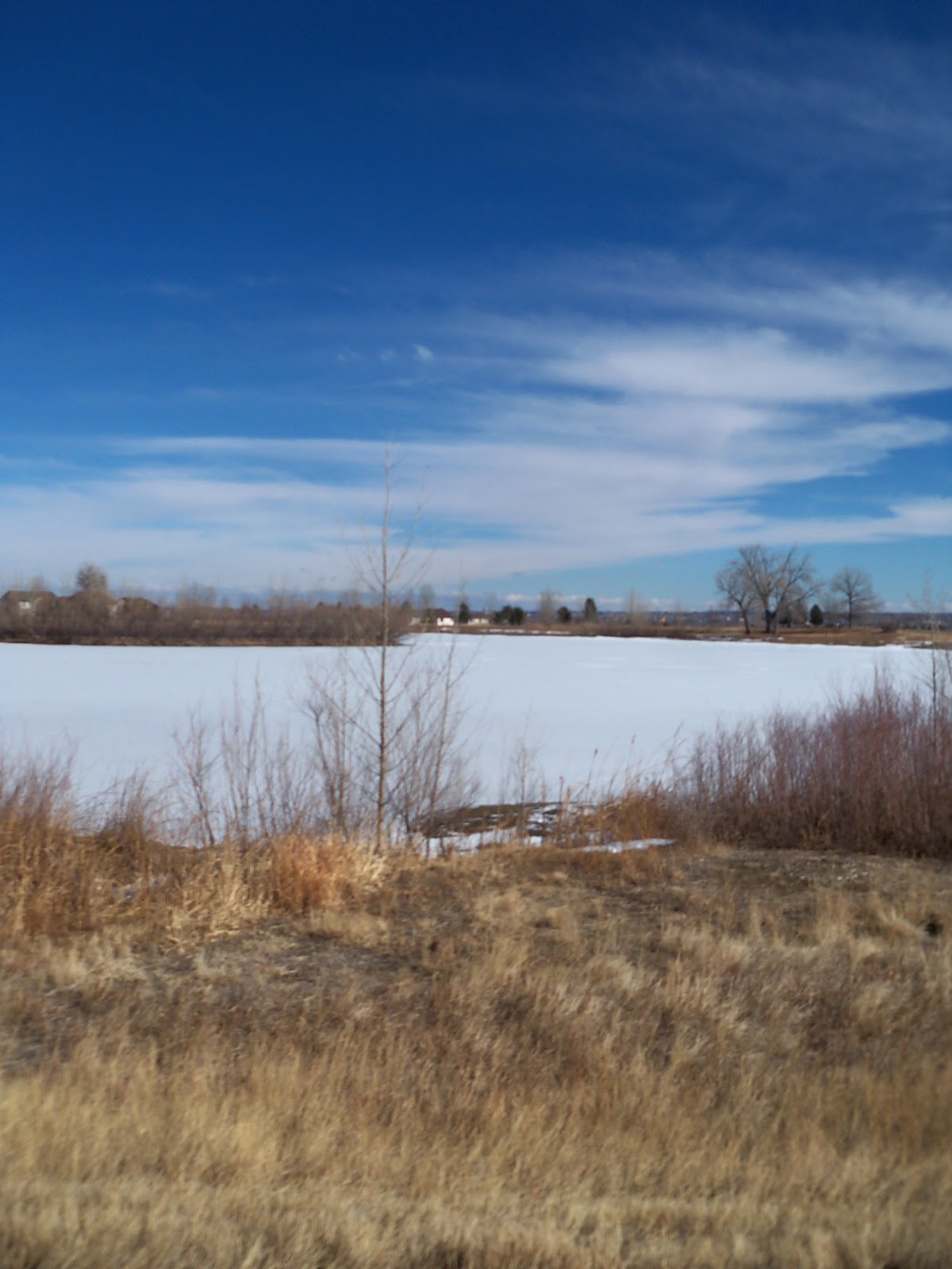 Trail and Park Reviews Hildebrand Ranch Park a new park in Jefferson
