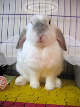 Born in July 2002