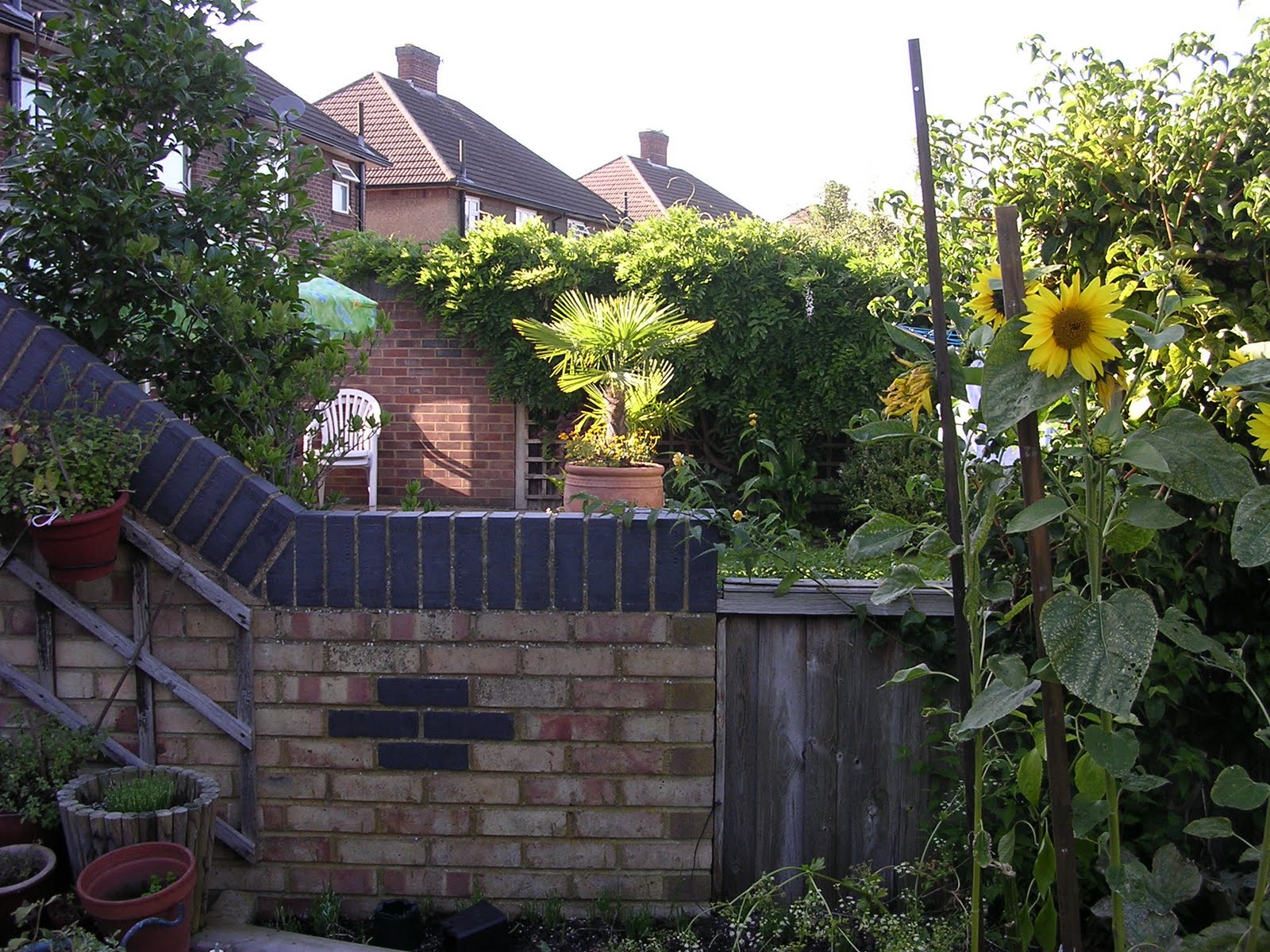 Dapur-Laksamana5: Lanskap belakang rumah -laman belakang..rumah lagi...