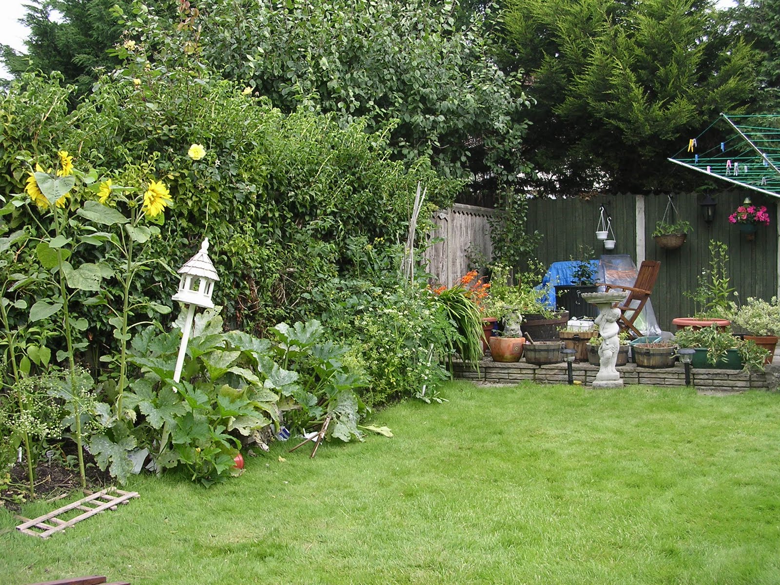 Dapur-Laksamana5: Lanskap belakang rumah -laman belakang..rumah lagi...