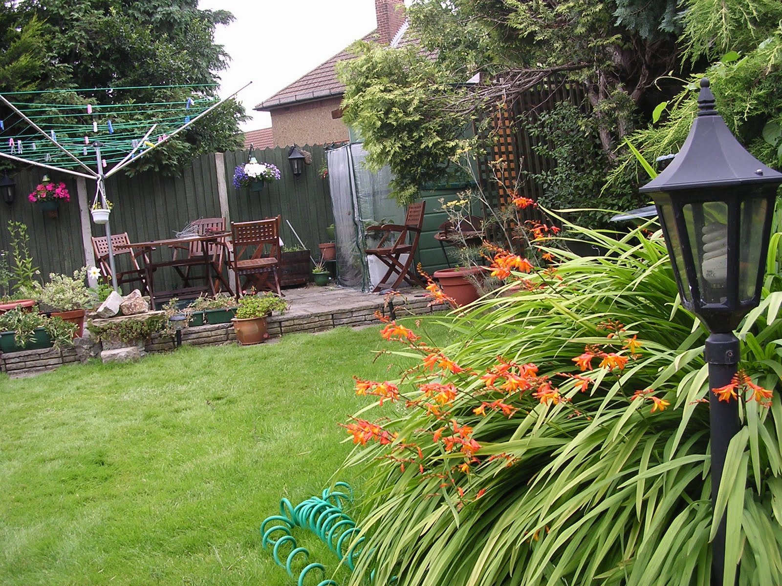 Dapur-Laksamana5: Lanskap belakang rumah -laman belakang..rumah lagi...