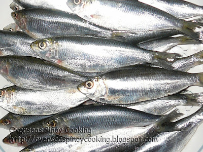Tawilis Sardines