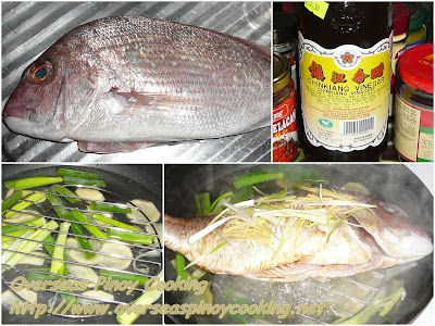 Steamed Fish, Steamed Maya Maya - Cooking Procedure