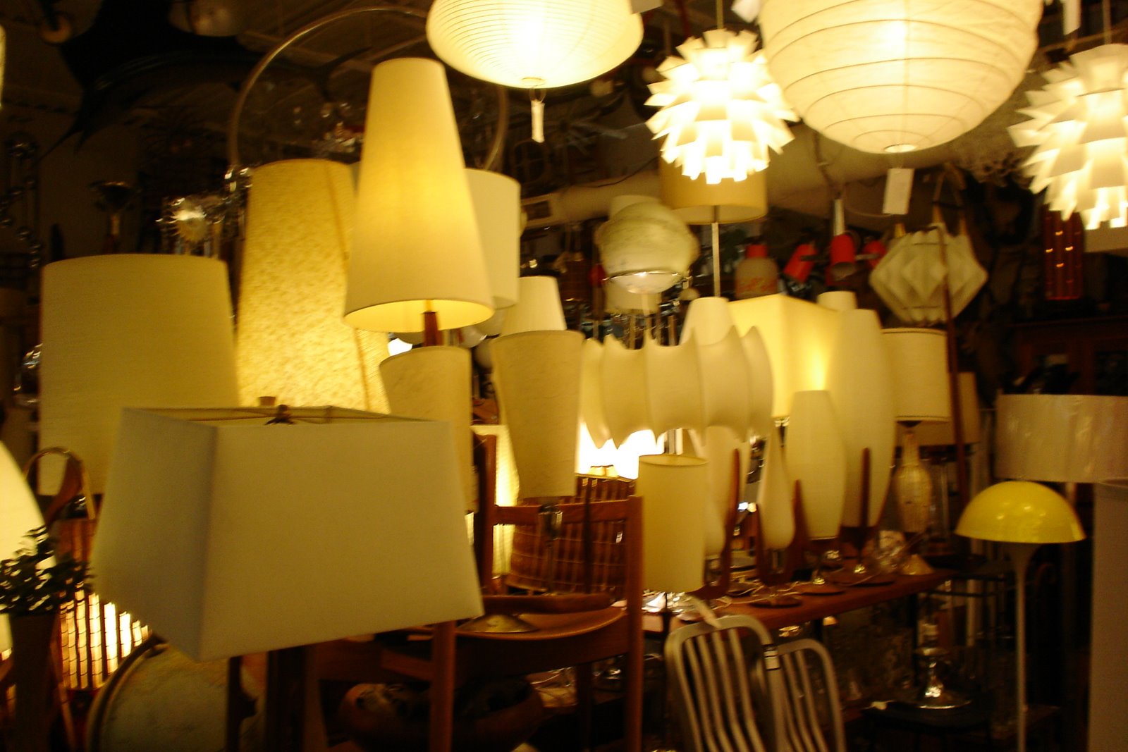 [DSC07409.JPG]