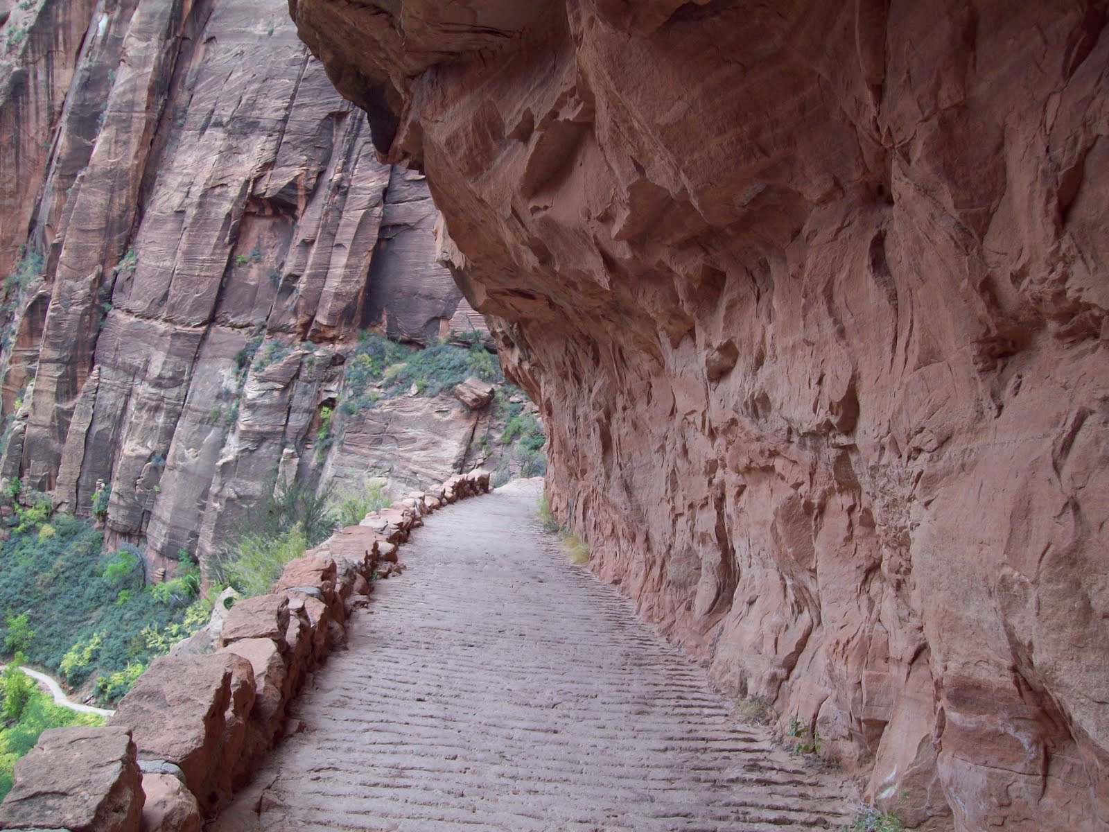 Llama Walker Backpacking Zion National Park in October 2009
