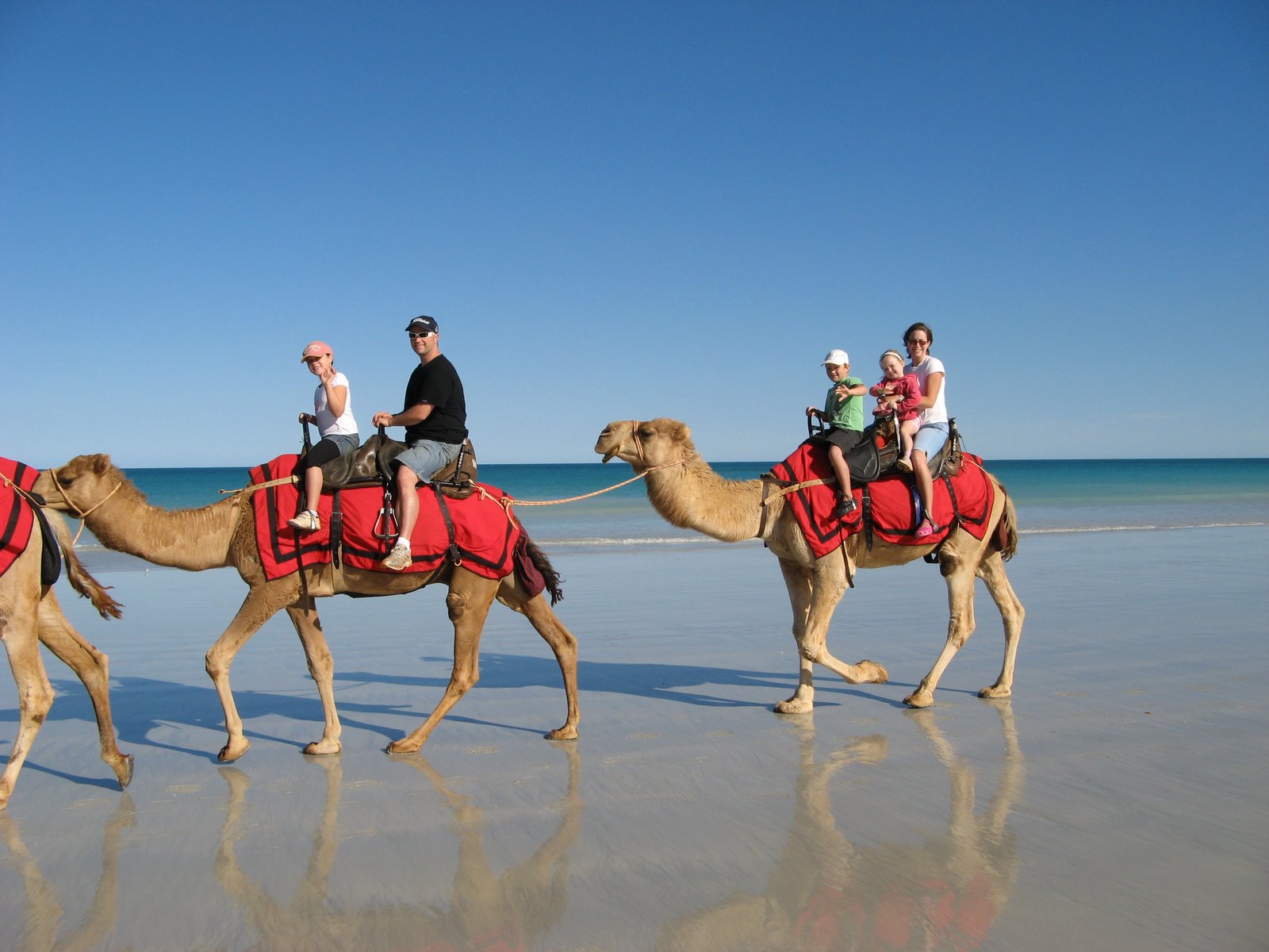 [048+8-08-2008+10-31-36.JPG]