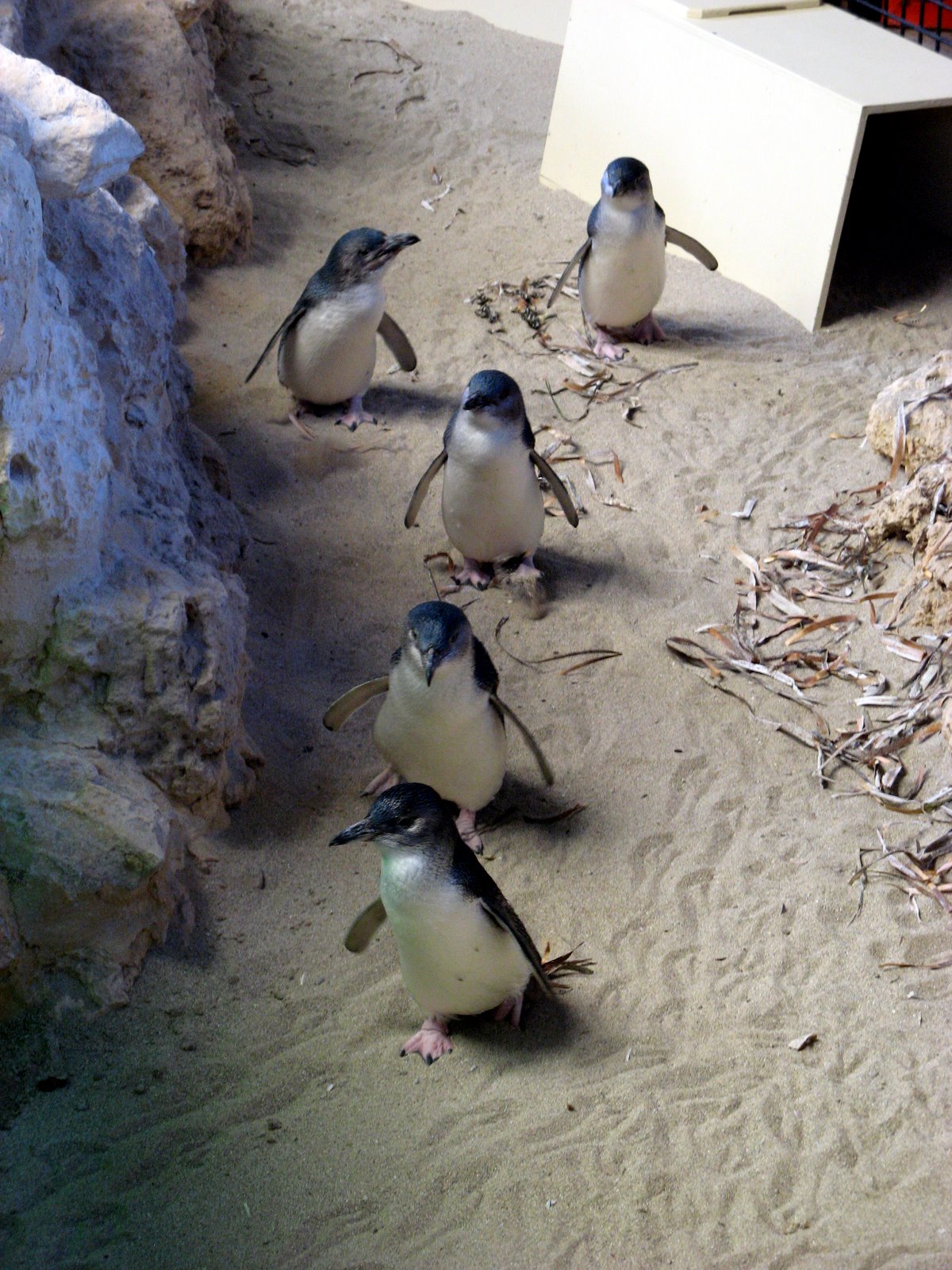 [060+20-09-2008+2-37-20+PM.JPG]