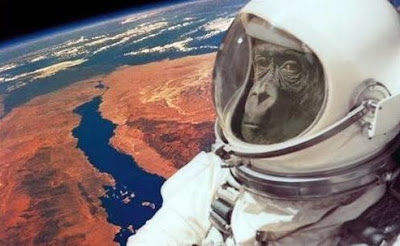 Monkeys to Mars?