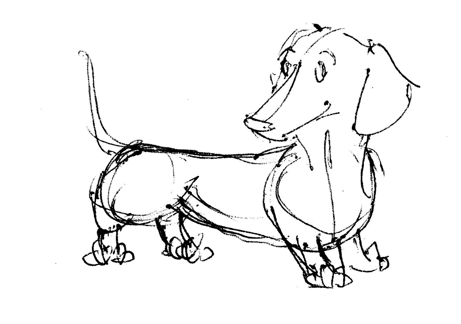 dachshund coloring pages - photo #46