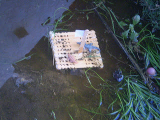 Ian's Science Experiments: Building a mini-raft