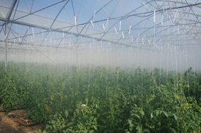 cooling_greenhouse.gif