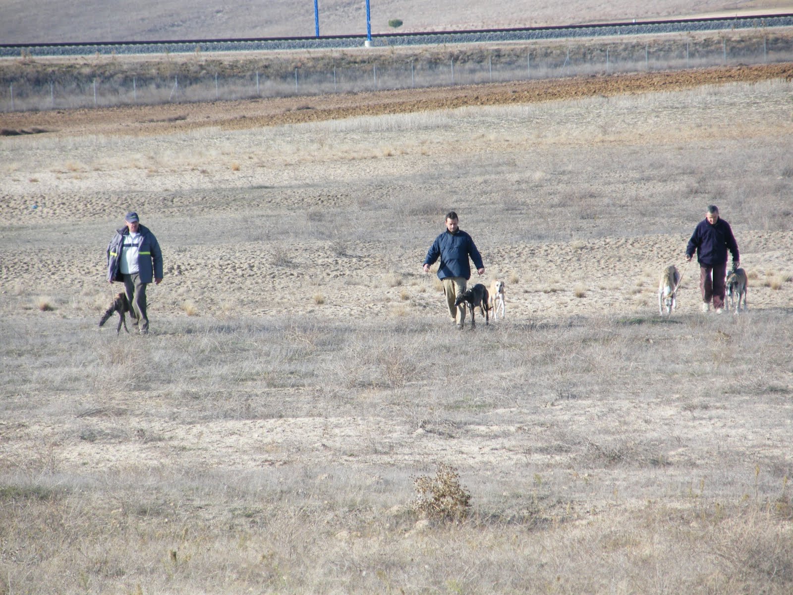 JULIO CALVO GIL LA CAZA CON GALGOS JULIO CALVO GIL LA CAZA CON GALGOS