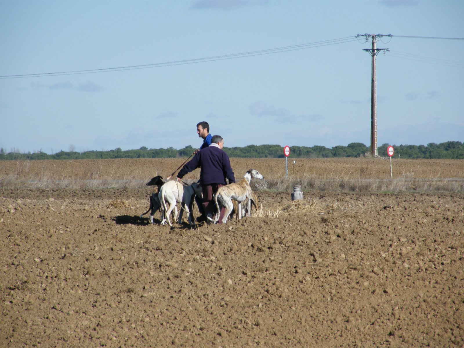 JULIO CALVO GIL LA CAZA CON GALGOS JULIO CALVO GIL LA CAZA CON GALGOS