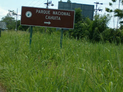 Cahuita sign