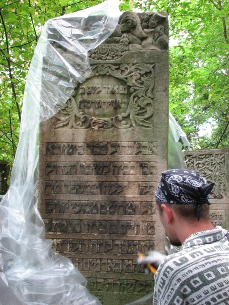 [conservation+02.JPG]