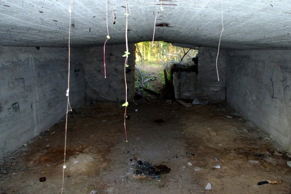 [Rudninku+Forest+23.9.08+(7).JPG]