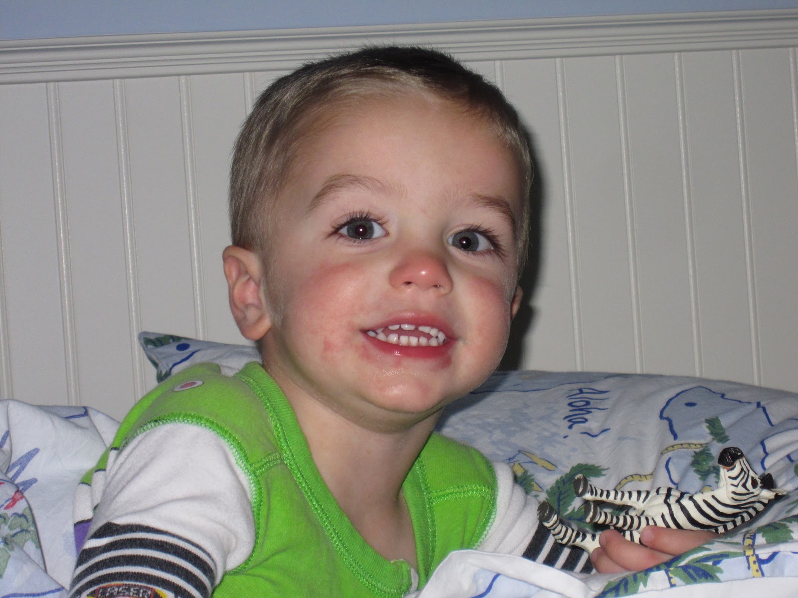 Life with the Poelstras... Big Boy Bed!