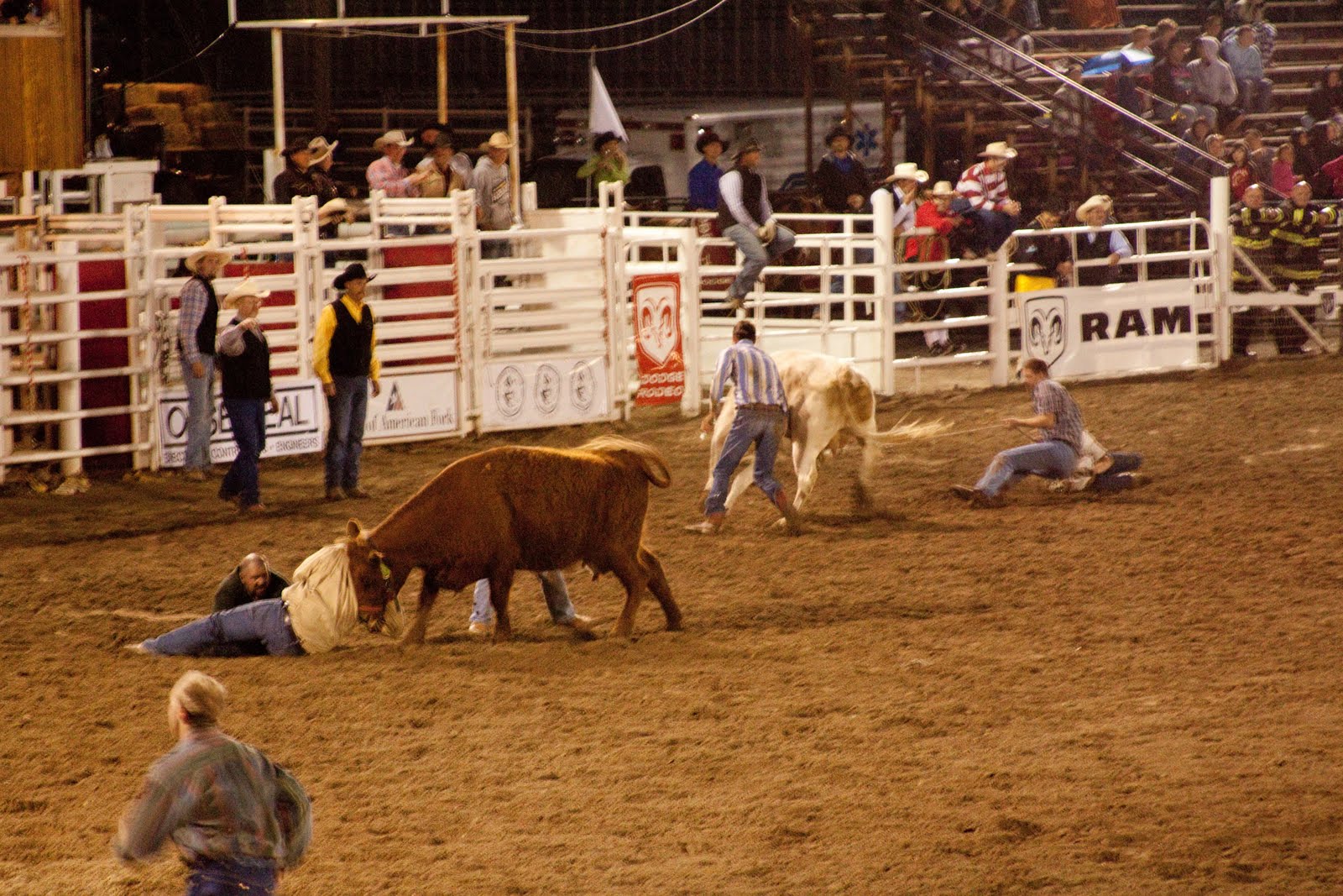 My Musings: Rodeo Season
