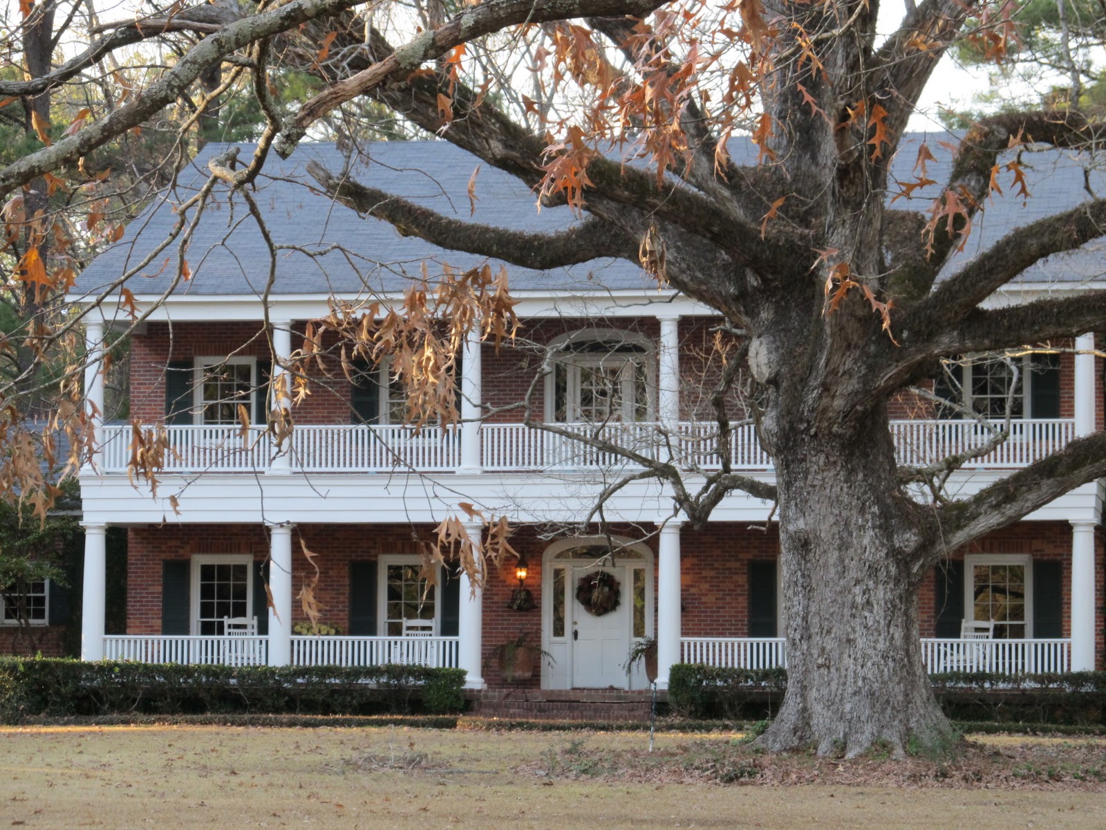 PrunePicker Walk on Griffin Road.