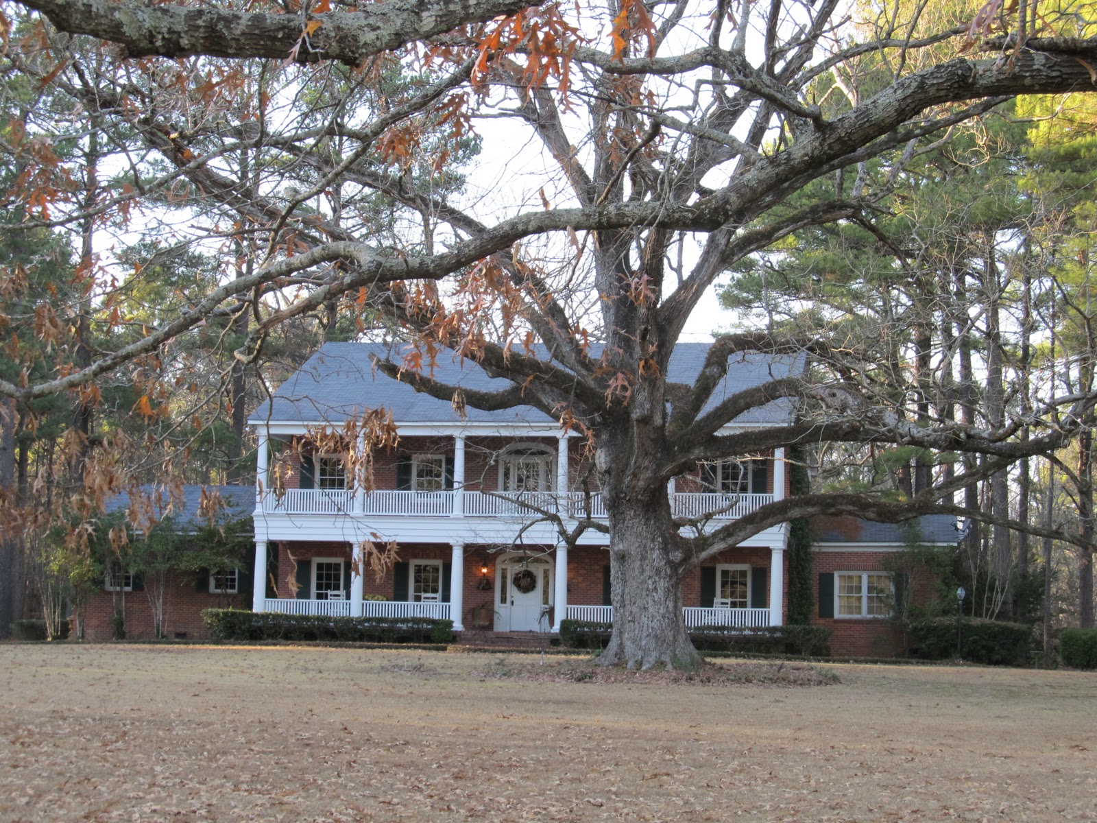 PrunePicker Walk on Griffin Road.