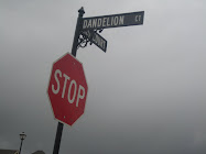 Street Signs