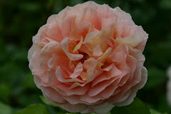 Abraham Darby