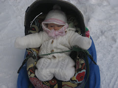 Carseat sledding