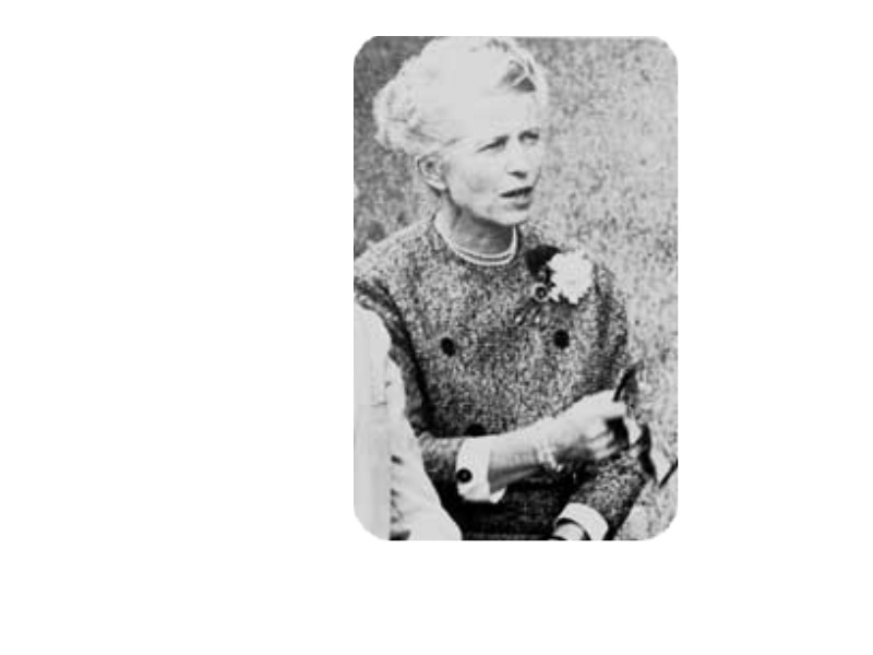 cousinages ANNE SCHLUMBERGER