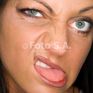 The Prolix Wag: Saturday Gallery: Funny Face Porn (SFW)