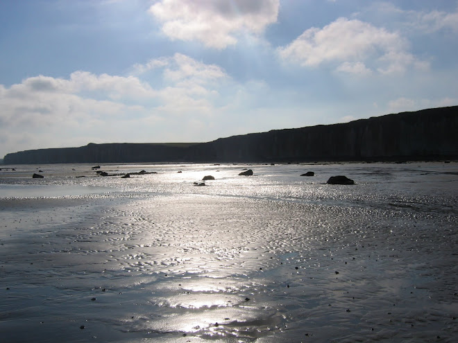 les plages ensablées