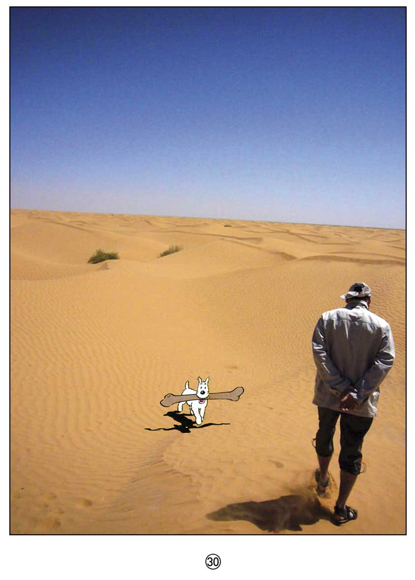 [milou-et-minou-1.jpg]