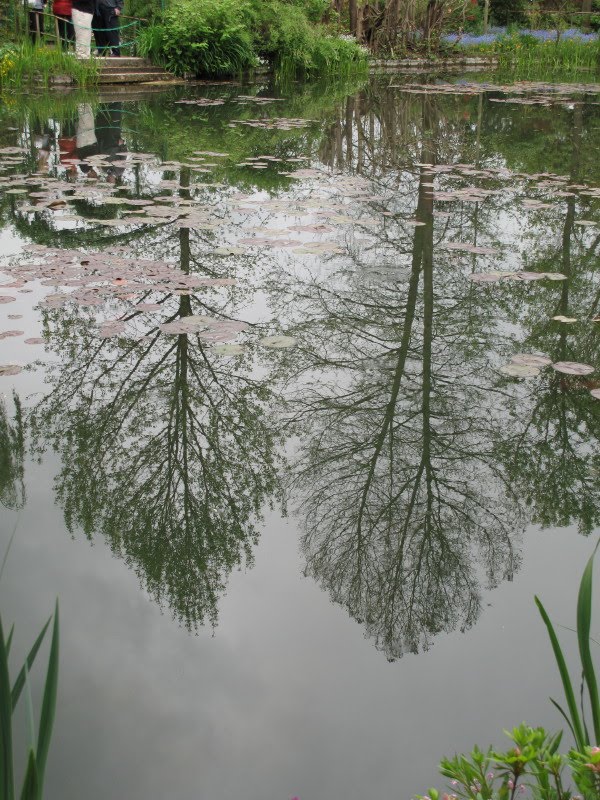 Joanne's Cottage Garden: MONET'S WATER GARDEN