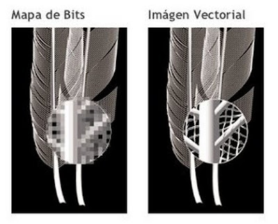 Fotografía con la comparación entre mapa de bits e imagen vectorial