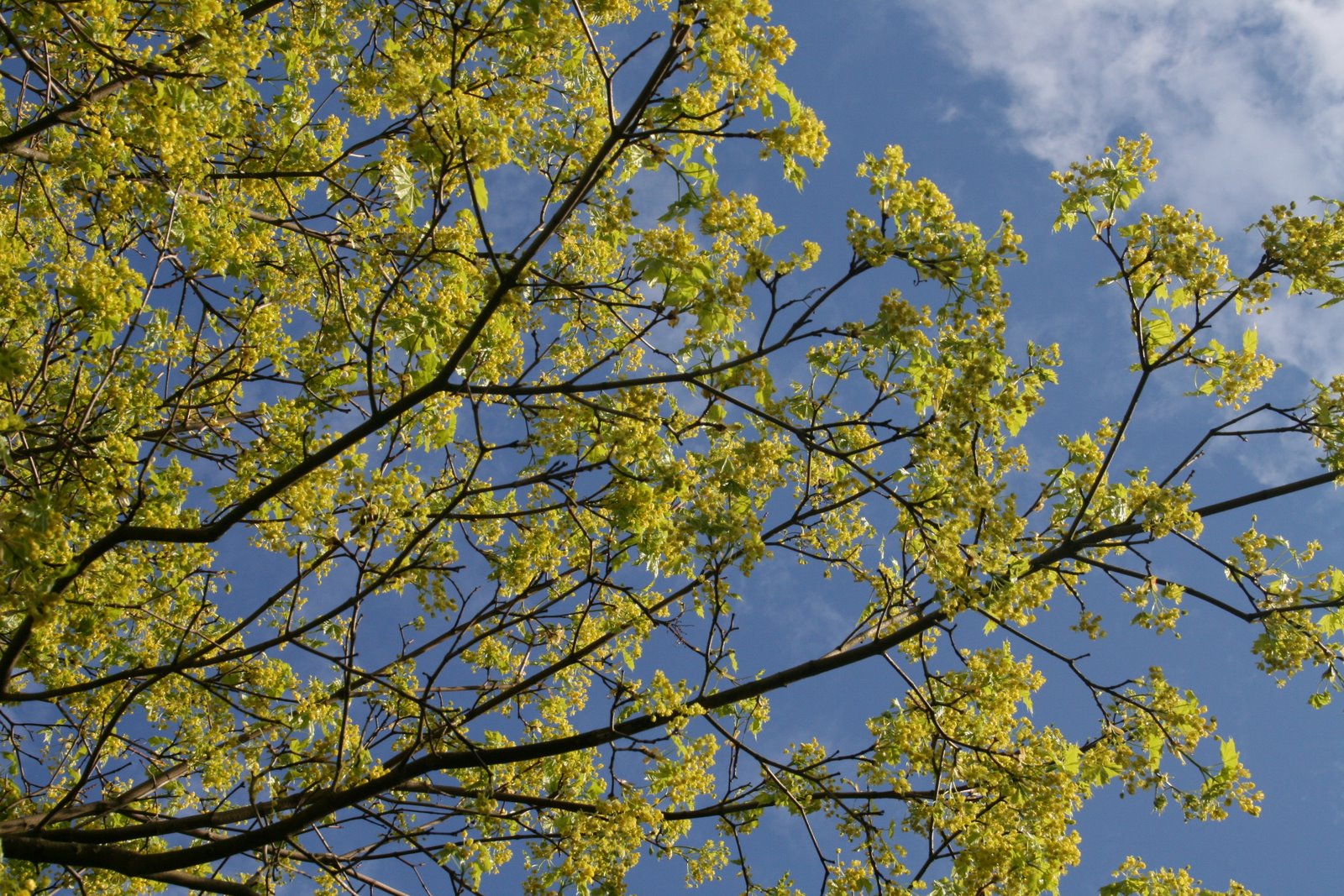 [IMG_5348.JPG]