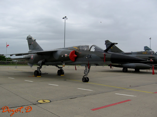 Dassault Mirage 2000 F1CA Florennes 2008.