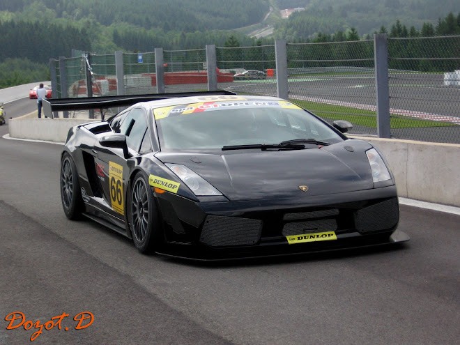 Ruffier Racing Lamborghini Gallardo GT3 66 GT Open Spa 2008.