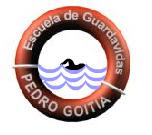 Guardavidas