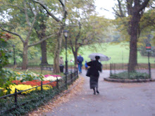 Rainy Park in Central Park