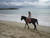 Horses and the beach.
