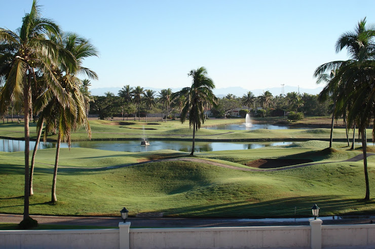 #6 hole