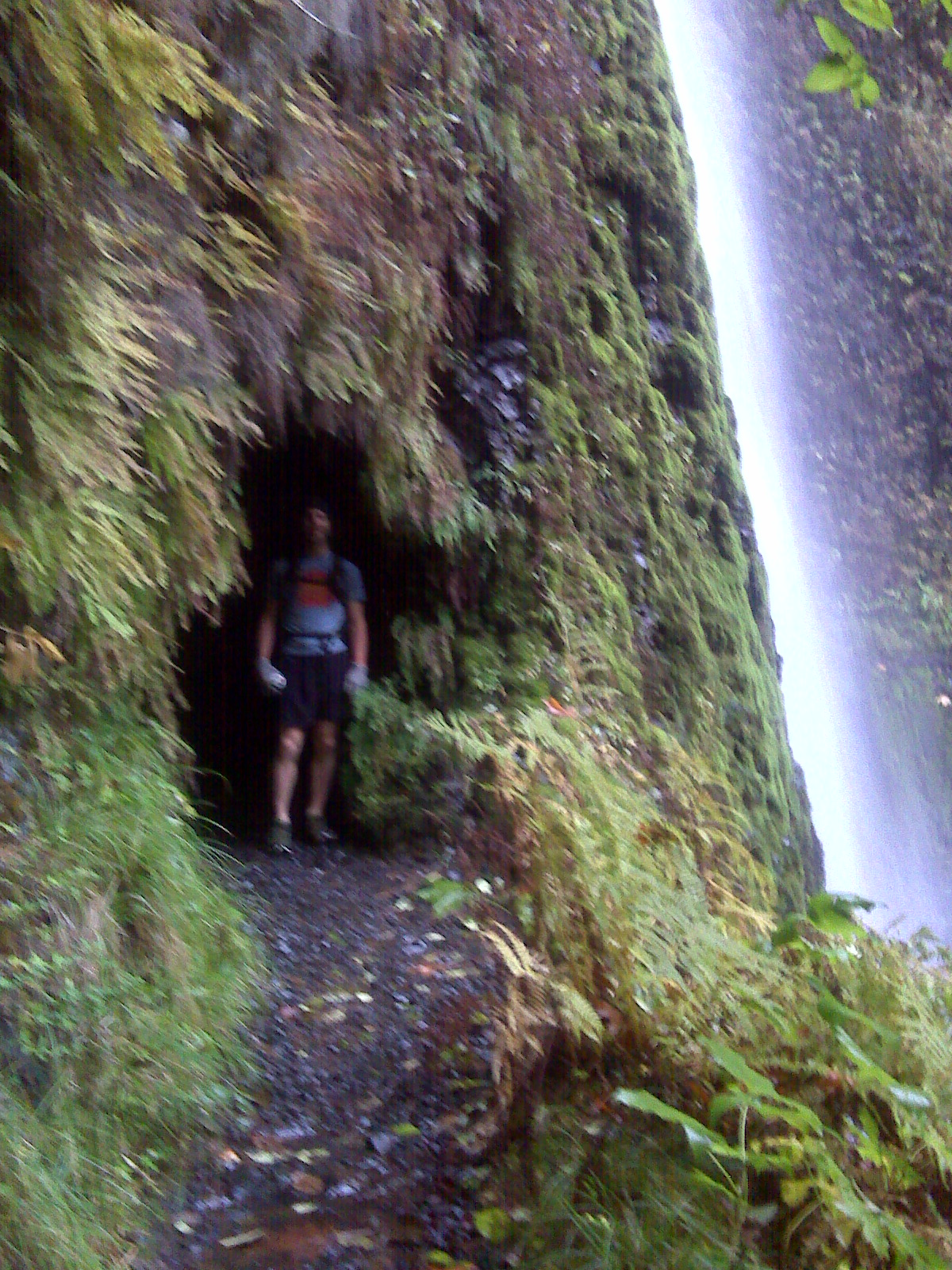 Is Eagle Creek Trail the Best Trail in Oregon?