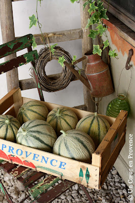 Melons of Provence