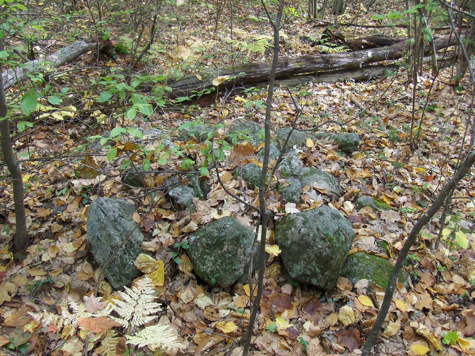 Rock Piles More on Townsend State Forest
