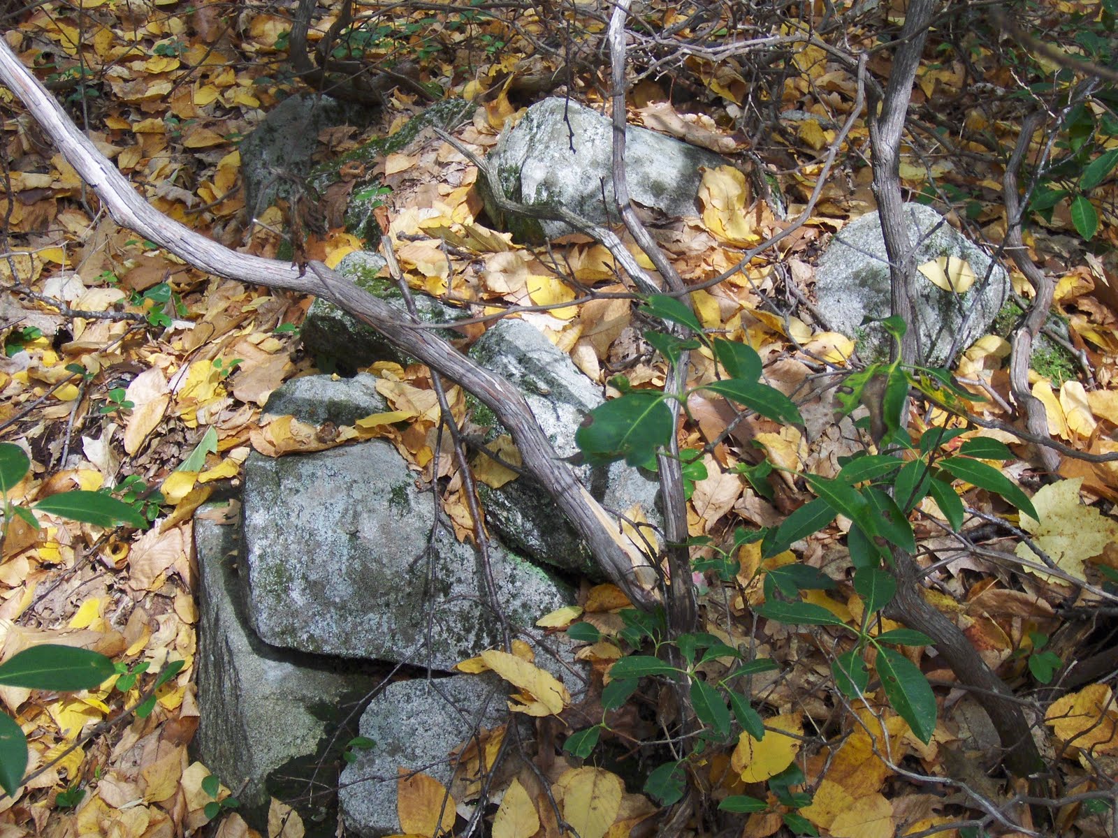 Rock Piles More on Townsend State Forest
