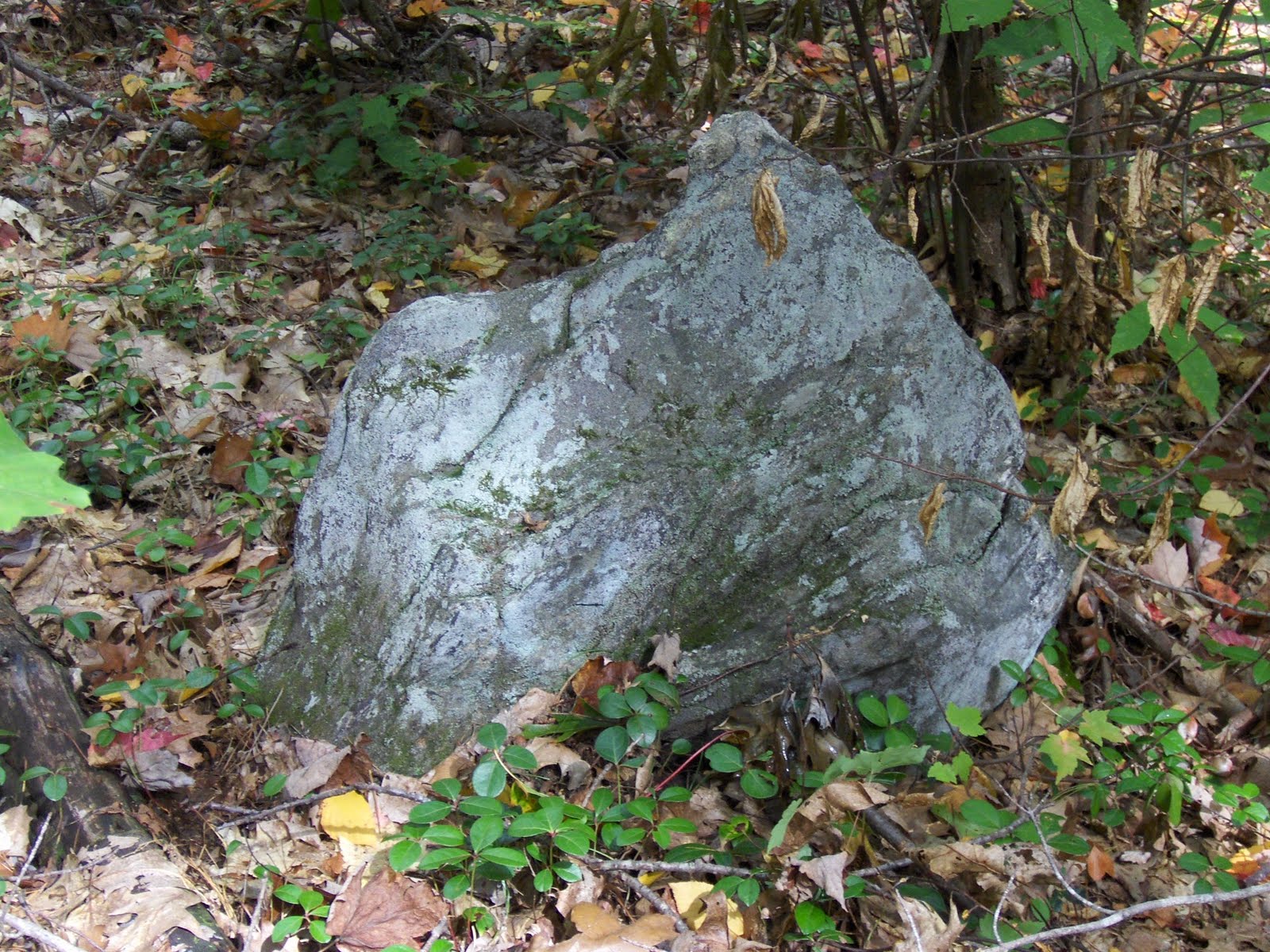 Rock Piles More on Townsend State Forest