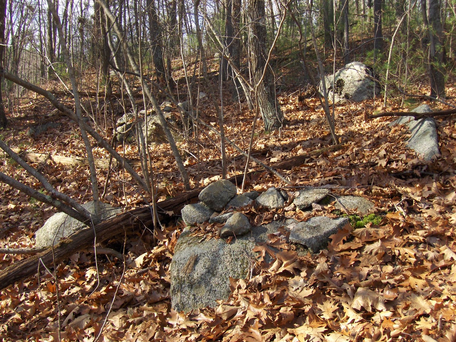 Rock Piles Southwest of Peppercorn Hill, Upton MA (part 1)