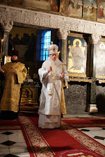 Mitropolitul Vladimir, Primatul B.O.din Ucraina